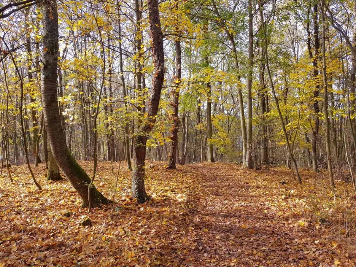 Gemütliche Ferienwohnung am Ortsrand Kreuzwertheim Exterior foto
